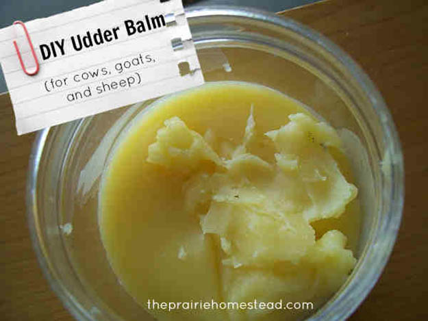 udder balm, off the grid, homesteading, ranching