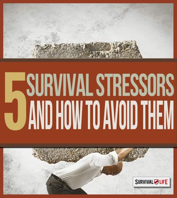 survival stressors and how to avoid them