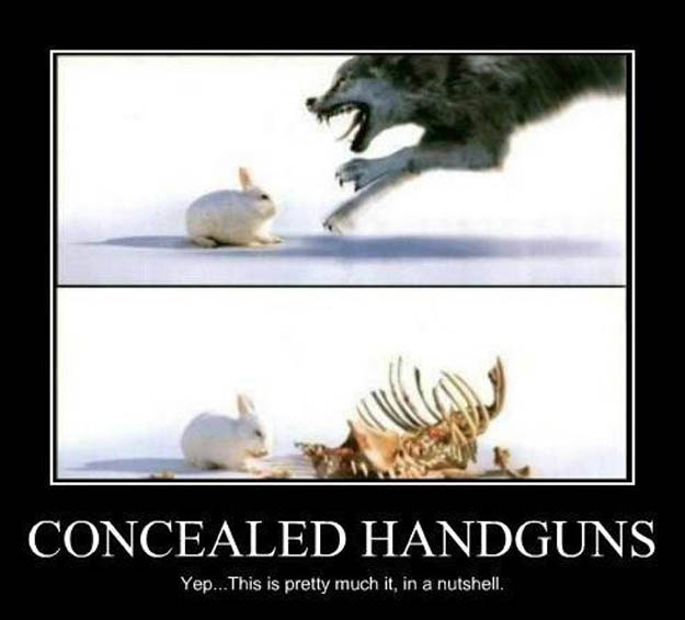 concealed carry in a nutshell