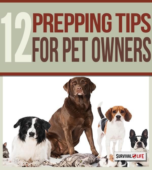 pets, prepping. prepping tips, survival tips