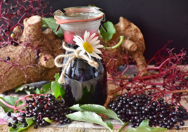 Elderberries Benefits: The Tiny Wonder Berry | Elderberries: The Tiny Wonder Berry