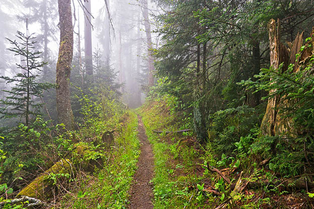This trail is popular for being the longest hiking trail in the world. Via williambritten.com