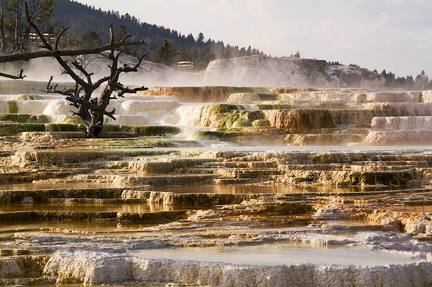 Mammoth Hot Springs is a must-see on your Yellowstone camping adventure because of these naturally formed terraces. Via roadtrippers.com