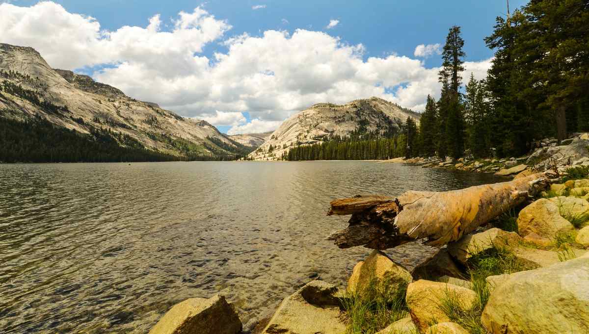 Rocky mountain and river view | Yosemite National Park Camping | Survival Life National Park Series 