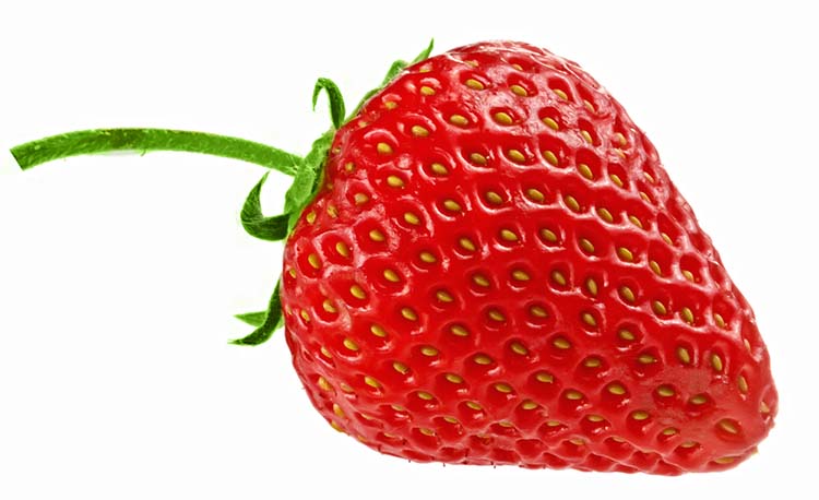 strawberries make great survival seeds