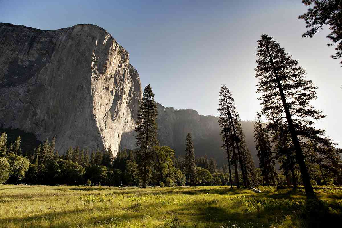 Yosemite mountains | Yosemite National Park Camping | Survival Life National Park Series 