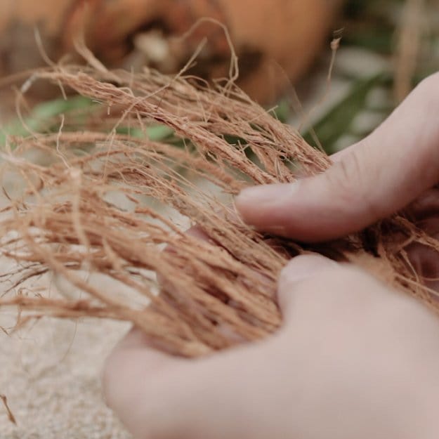 Prepare the Coconut Fibers | DIY Cordage | How to Make Your Own Coconut Rope