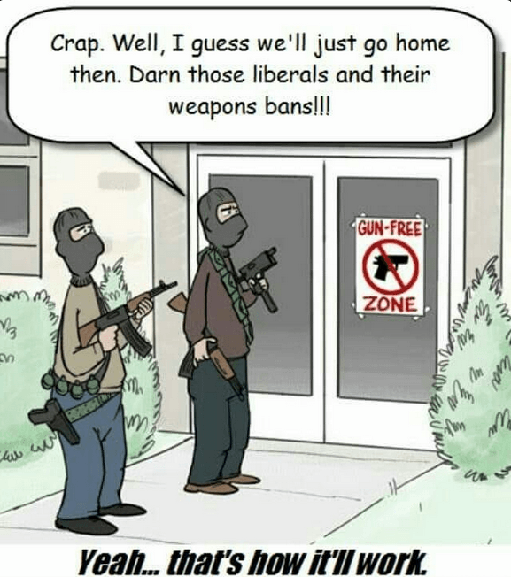 gun control won't solve the problem