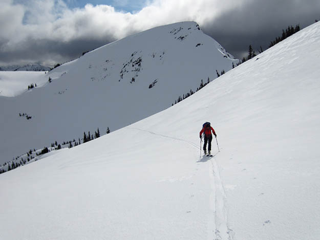 olympic-national-park-skiing