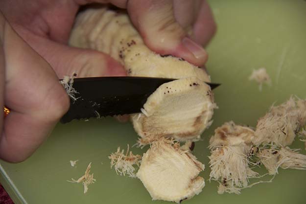 Chopping the yucca plant