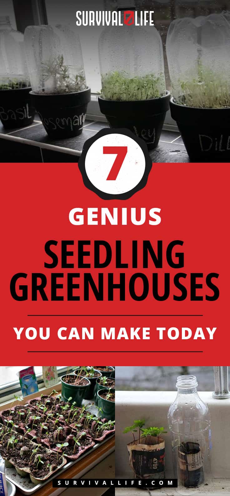 Seedling Greenhouses | 7 Genius Seedling Greenhouses You Can Make Today