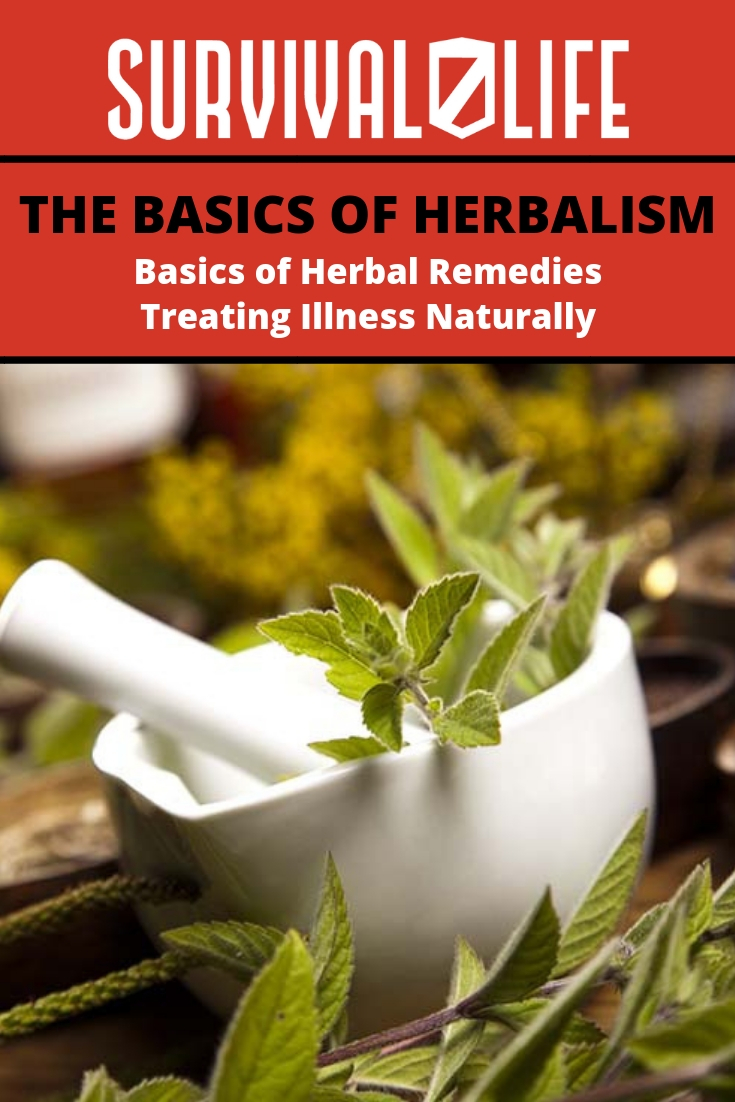 Check out The Basics of Herbalism at https://survivallife.com/basics-of-herbalism/