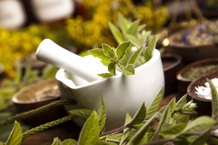 basics of herbal remedies