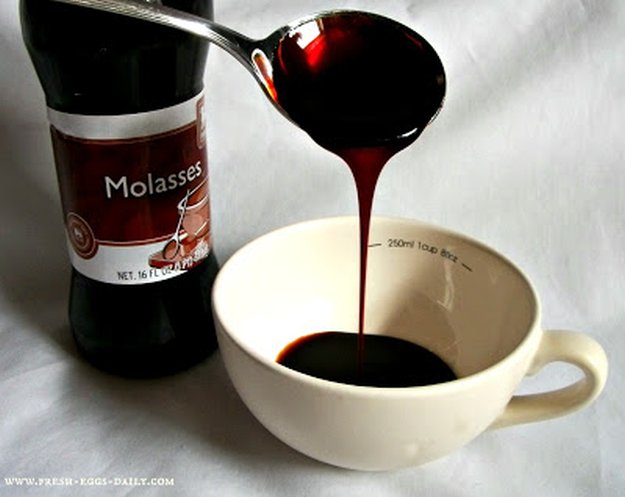 Molasses | Survival Food Items That Actually Taste Good