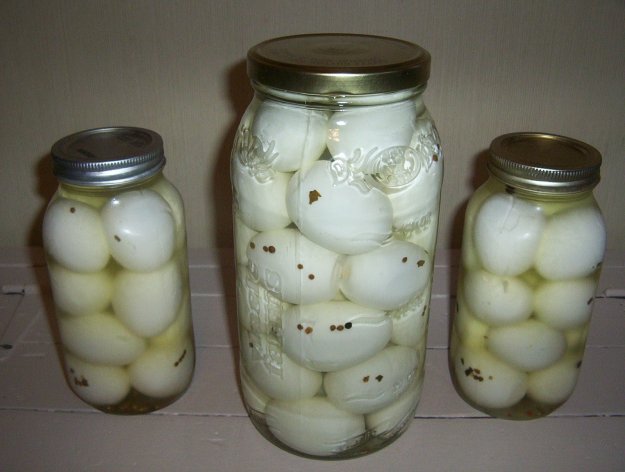 Pickled Eggs | Survival Food Items That Actually Taste Good