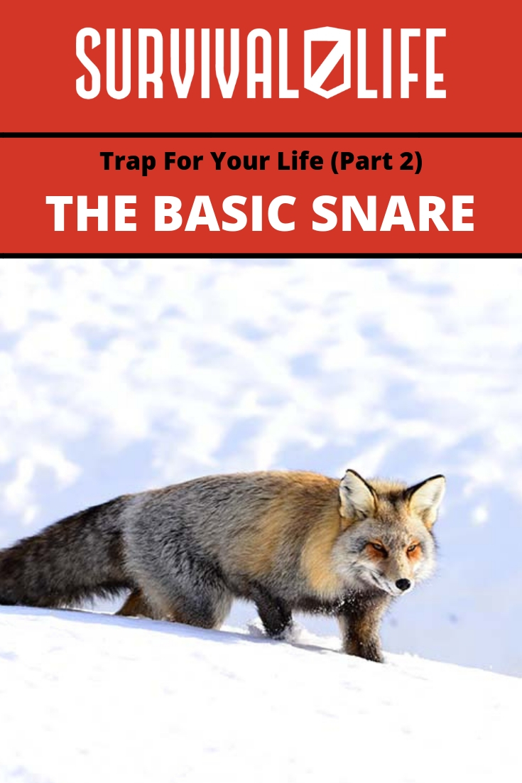 Placard | Basic Snare | The Basic Snare: Trap For Your Life (Part 2)