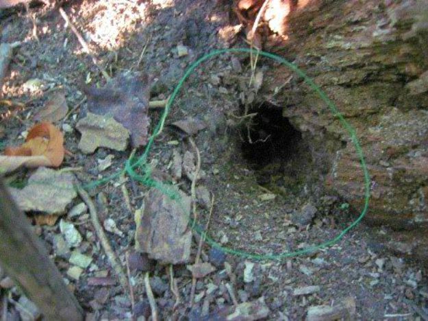 Hole in the woods  The Basic Snare: Trap For Your Life (Part 2)