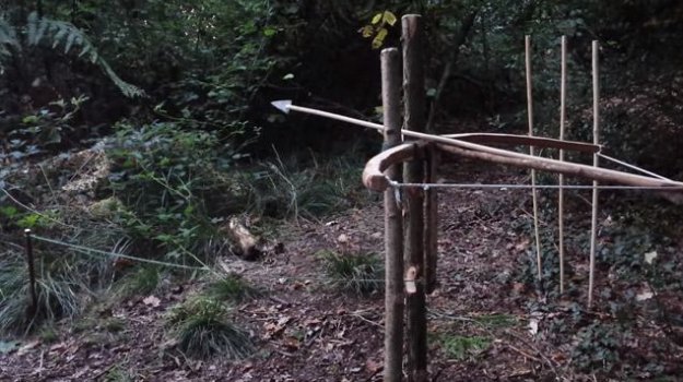 Bow Trap | 5 Sneaky Survival Snare Traps to Keep You Alive