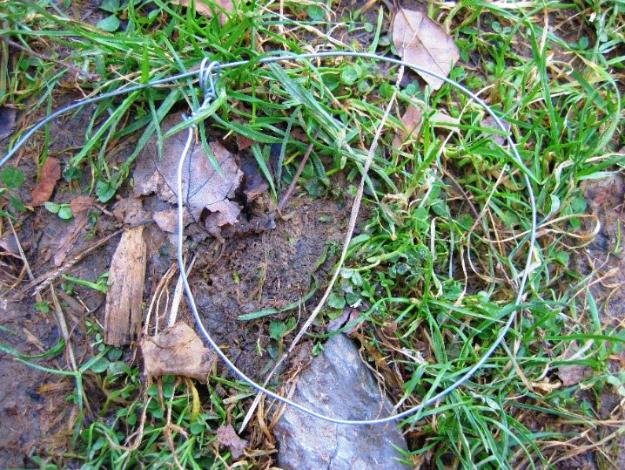Wire on the ground | The Basic Snare: Trap For Your Life (Part 2) 