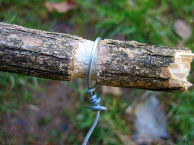 Wood and wire | The Basic Snare: Trap For Your Life (Part 2) 