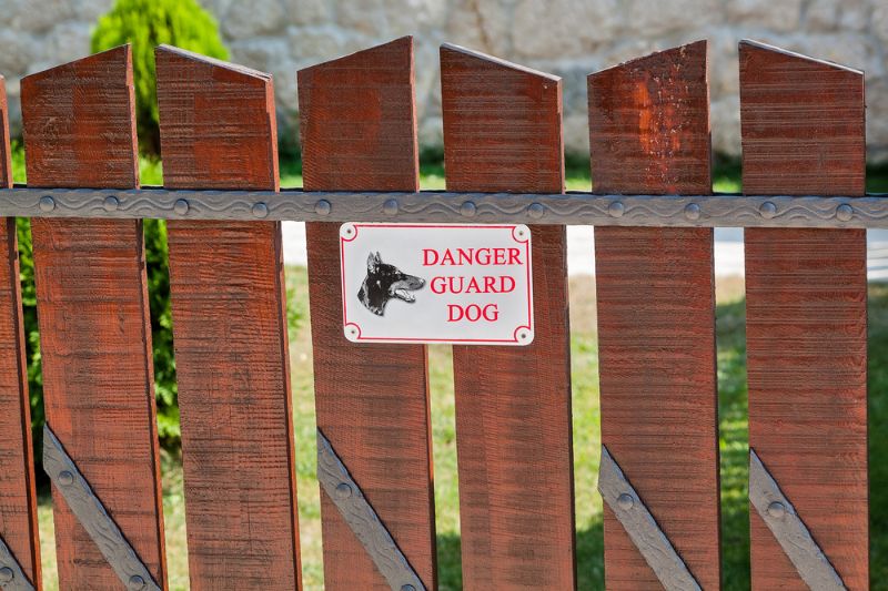 warning sign dangerous dog | Decoys Can Reduce the Chances of Home Invasion | invasion survival kit 