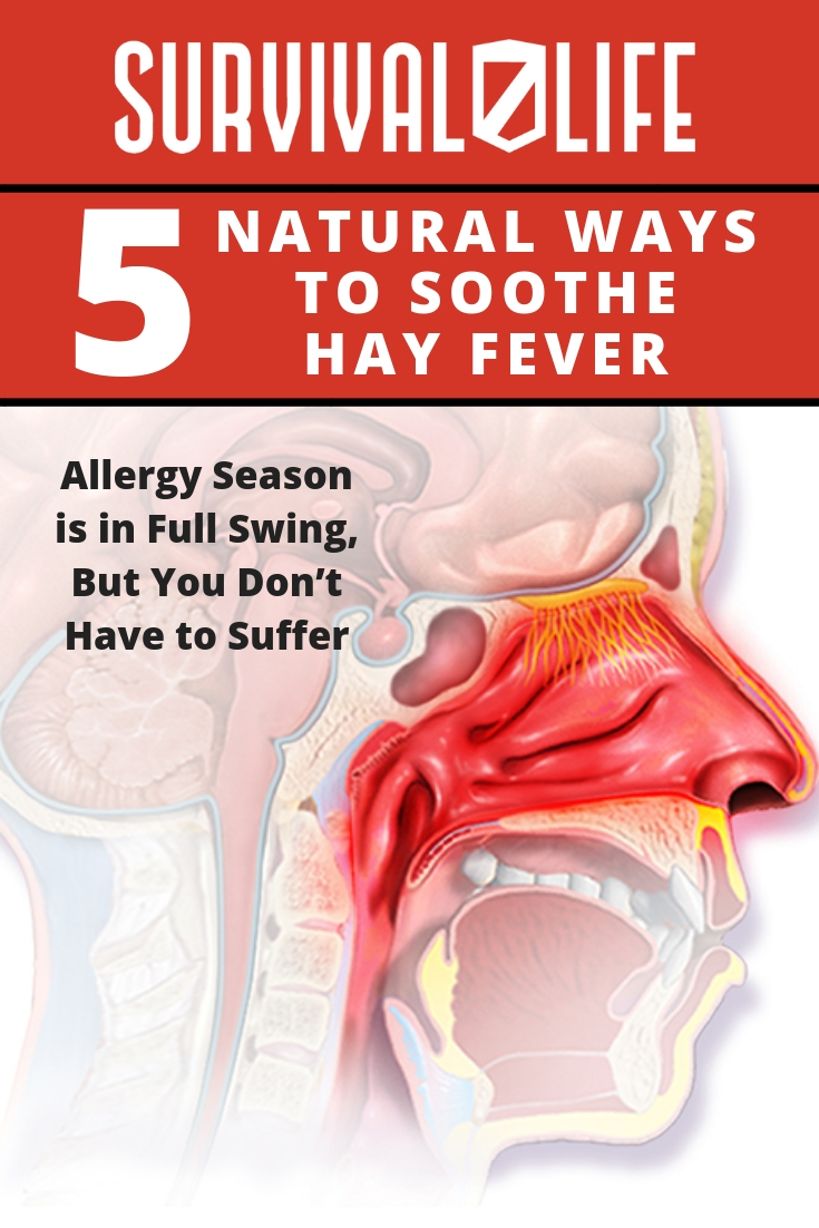 5 Natural Ways to Soothe Hay Fever