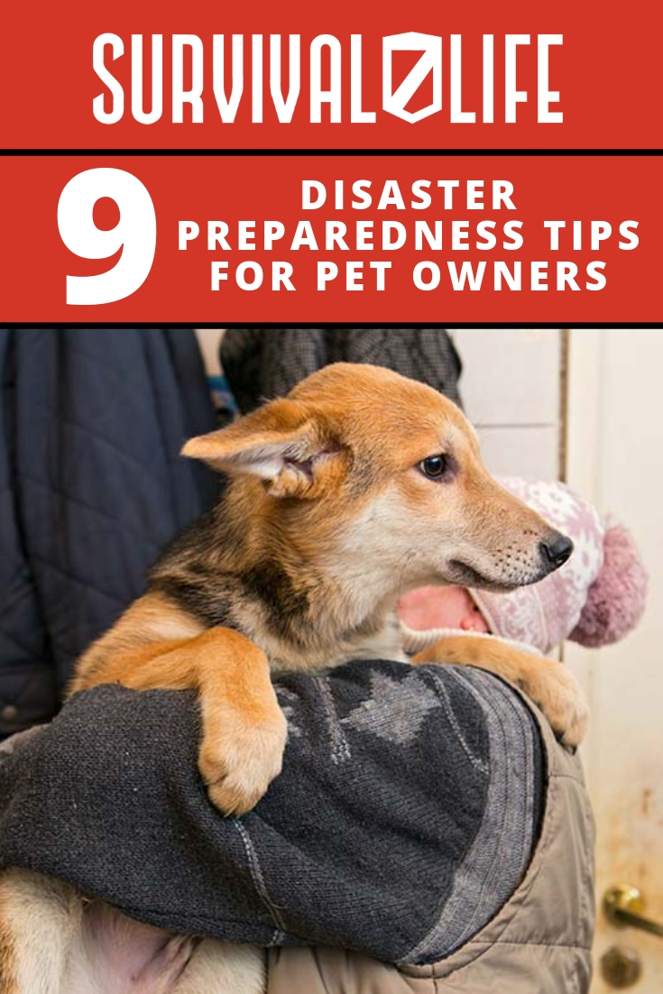 9 Disaster Preparedness Tips for Pet Owners