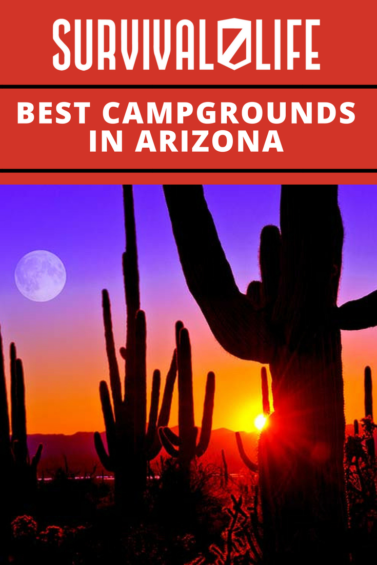 Best Campgrounds in Arizona
