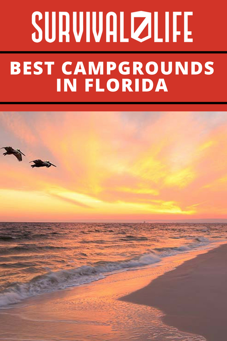 Best Campgrounds in Florida