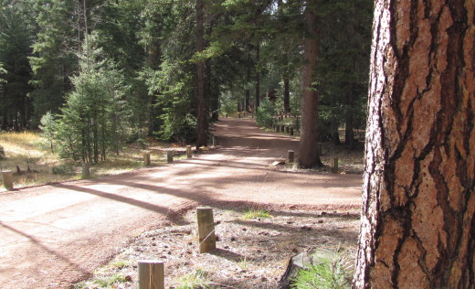 apache trout campground
