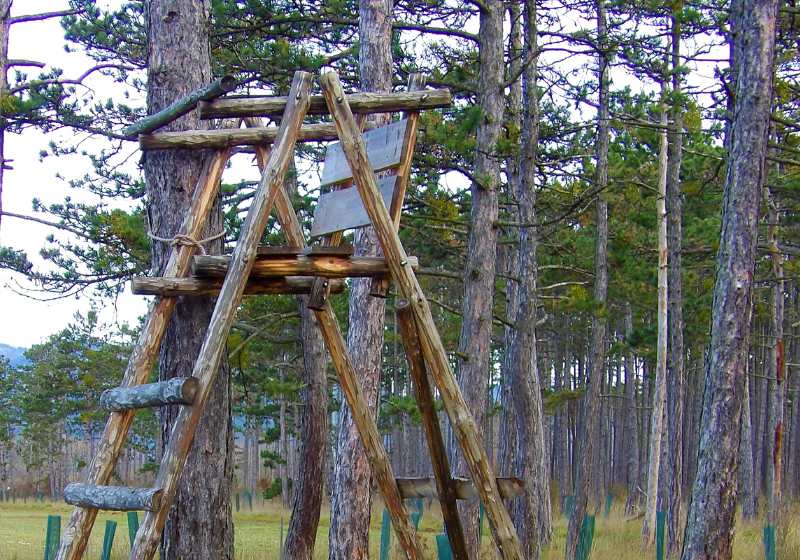 hunter seat made wood | lightweight camp chairs