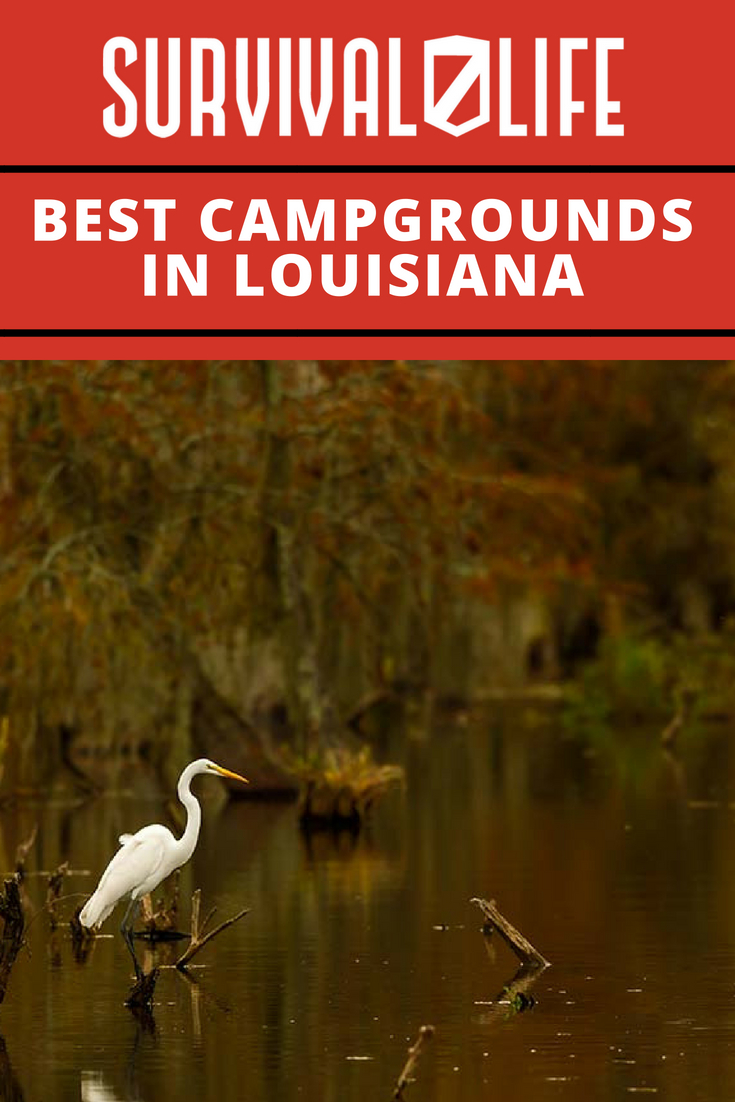 Best Campgrounds in Louisiana