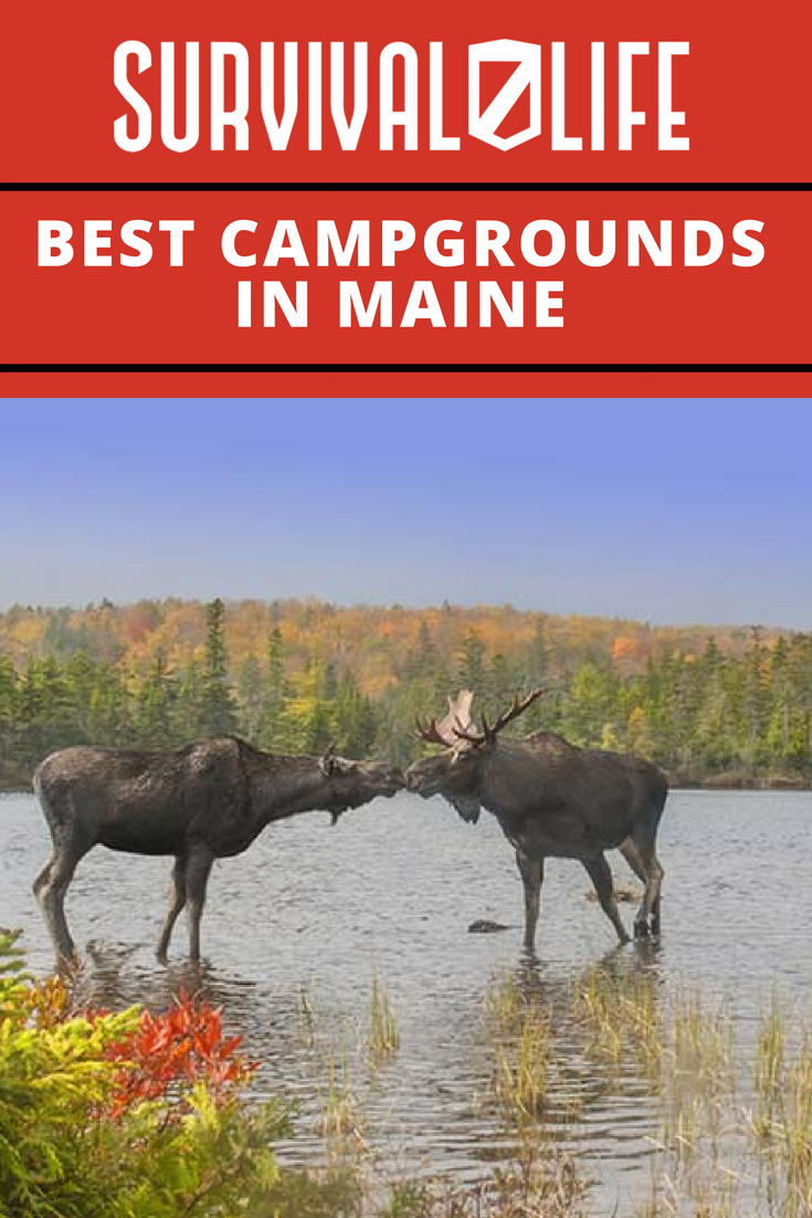 Best Campgrounds in Maine