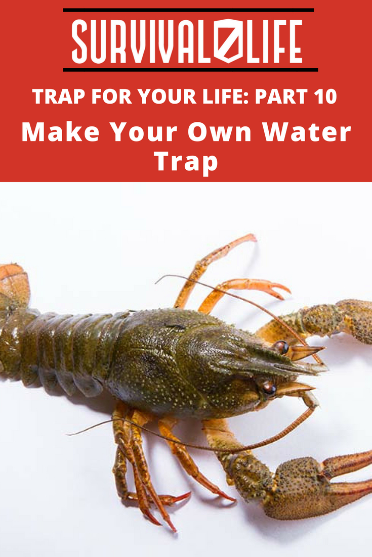 Trap For Your Life Part 10 Make Your Own Water Trap