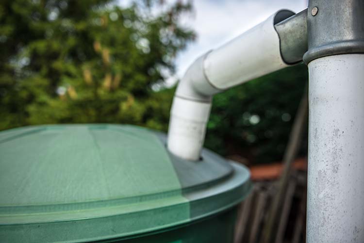 rainwater collection tips