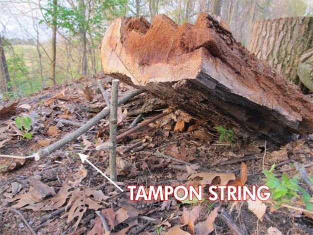 Cordage | Surprising Survival Uses for a Tampon