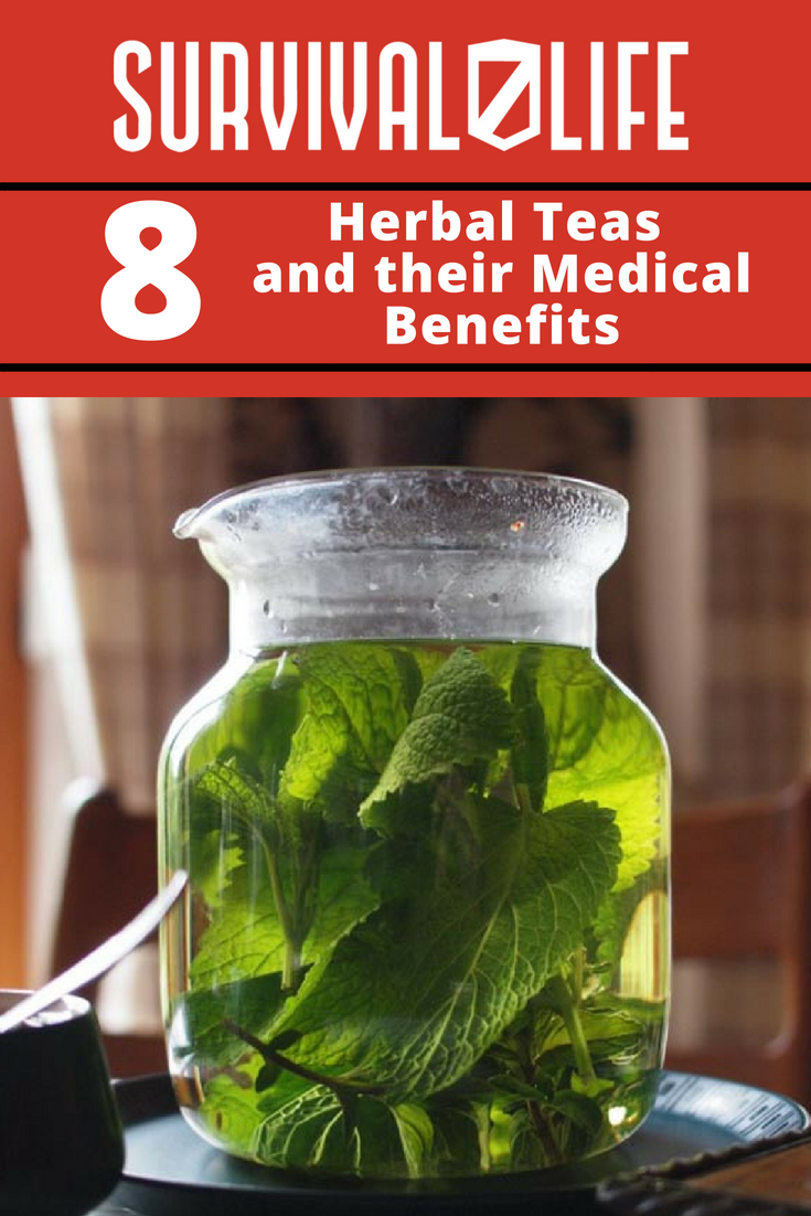 Check out 8 Herbal Teas and Their Medical Benefits at https://survivallife.com/herbal-teas-medical-benefits/