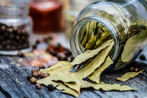 Bay Leaves | Natural Ways To Rid Your Home of Roaches For Good