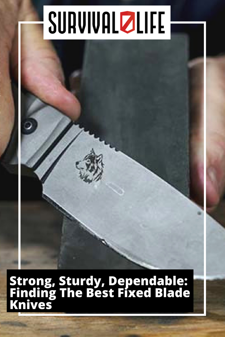 Placard | Fixed Blade Knives | Strong, Sturdy, Dependable: Finding The Best Fixed Blade Knives | Best self defense knife