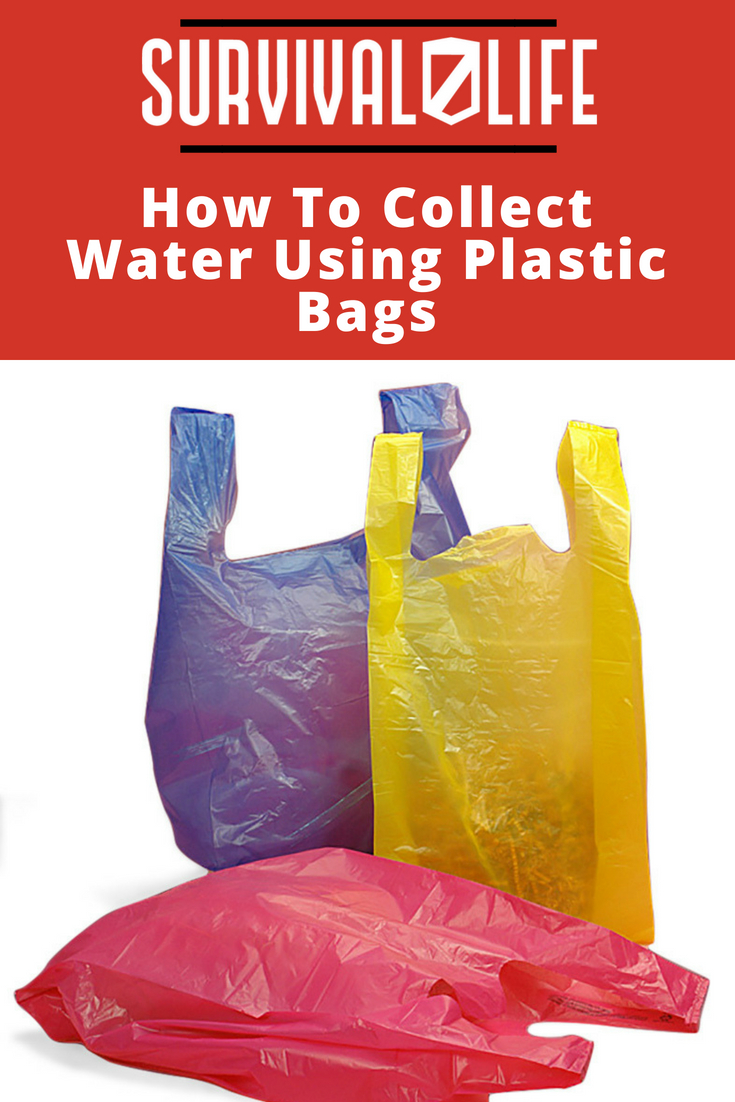 HOW TO COLLECT WATER USING PLASTIC BAGS