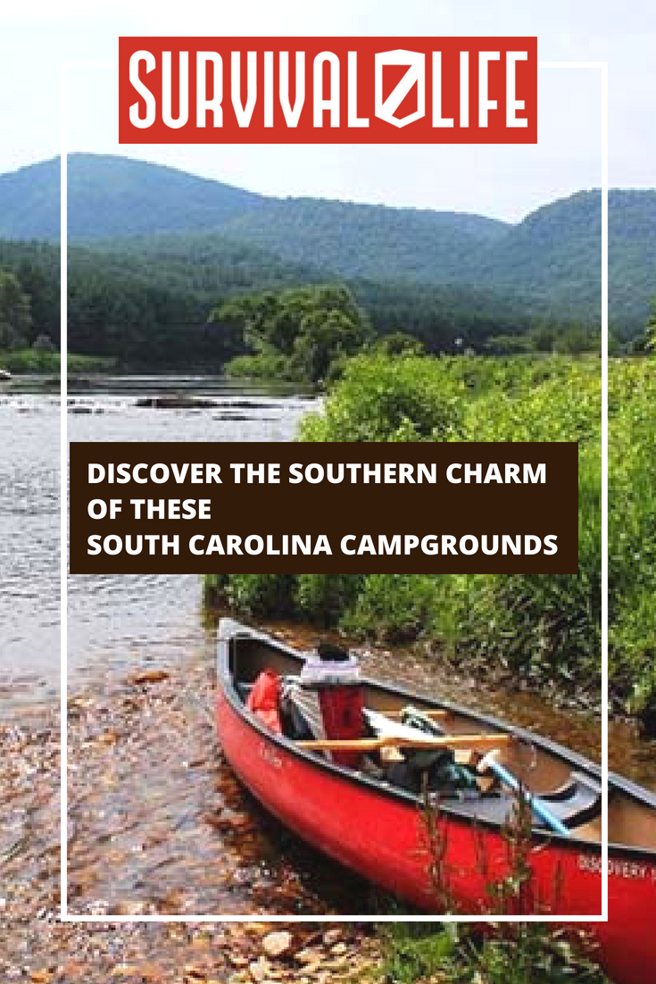 Check out Discover the Southern Charm of These South Carolina Campgrounds at https://survivallife.com/south-carolina-campgrounds/