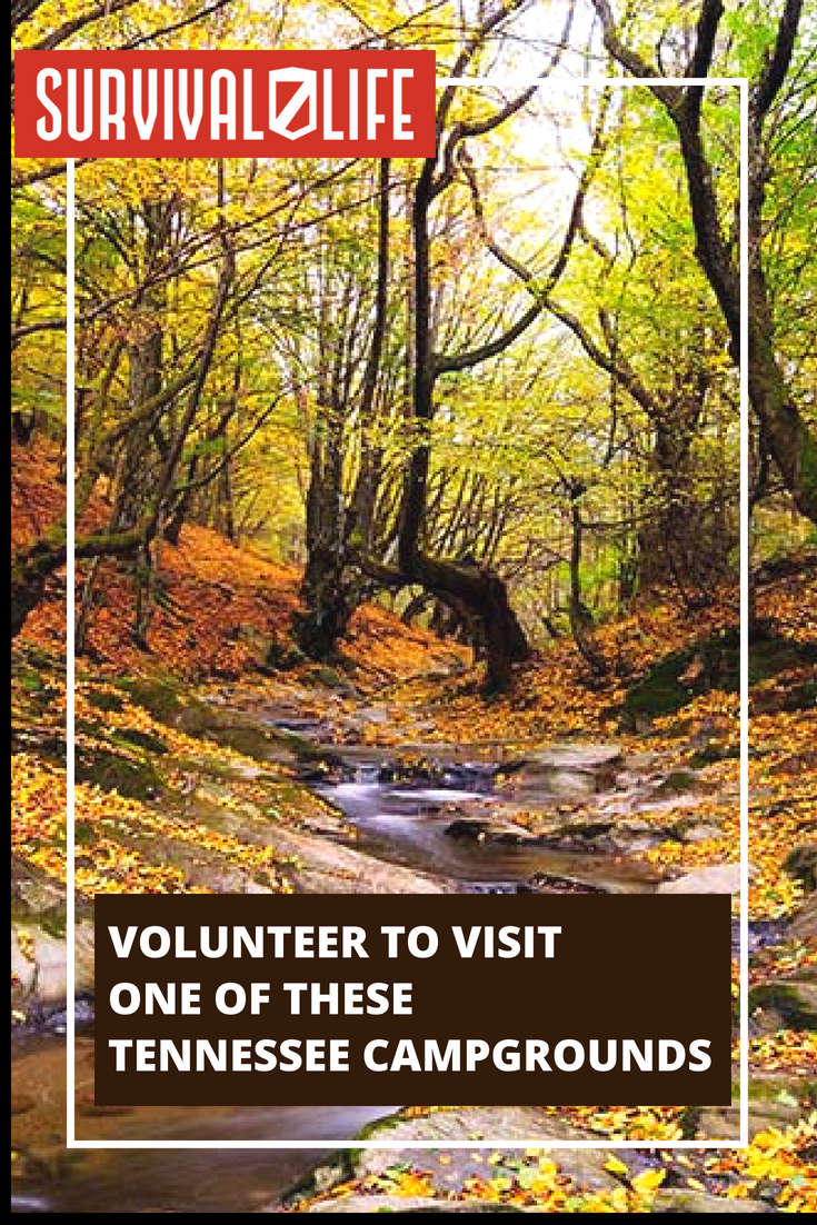 Check out Volunteer to Visit One of These Tennessee Campgrounds at https://survivallife.com/best-campgrounds-tennessee/