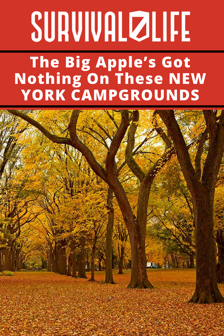 The Big Apple’s Got Nothing On These New York Campgrounds