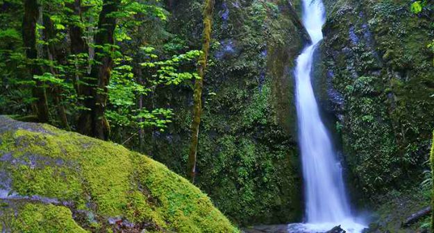 Cascadia State Park - Detroit | Best Campgrounds in Oregon