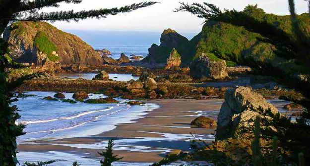 Harris Beach State Park - Brookings | Best Campgrounds in Oregon