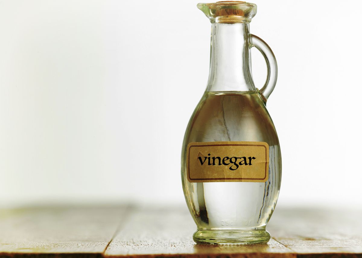 Bottle of white vinegar on the wooden table top | Fight An Ant Invasion Naturally With These Tips