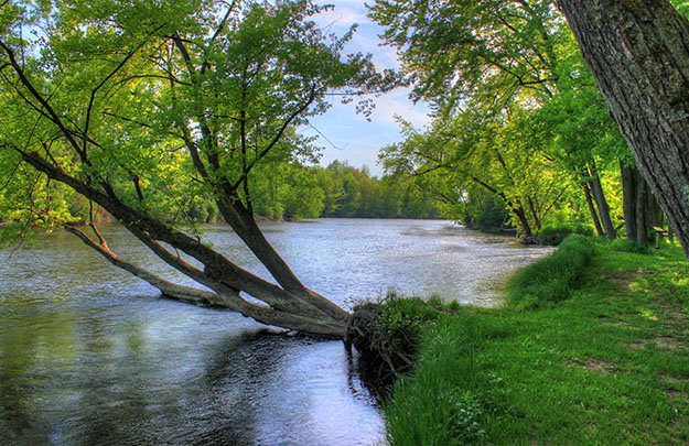 A low-hanging tree branch stretches across the Oconto river in Wisconsin.