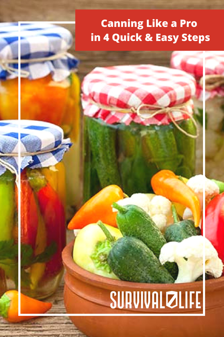 Canning Like a Pro in 4 Quick Easy Steps