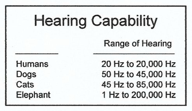 Hearing capability | Sound As A Defense Weapon: How Sound Frequency Can Cause Pain