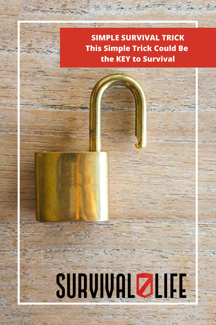 Check out This Simple Trick Could Be the KEY to Survival at https://survivallife.com/simple-survival-trick/